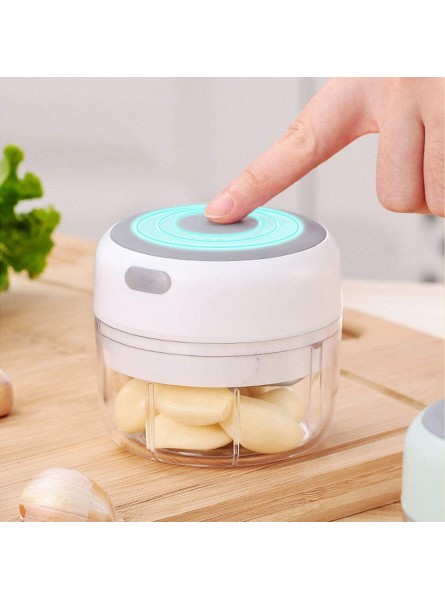 Fikujap Electric Garlic Chopper Portable Food Slicer And Chopper with USB Charging,Kitchen Mini Blender Food Processor for Meat Chili Pepper Vegetable Nuts Baby Food Maker100ML - YUFX6K2V