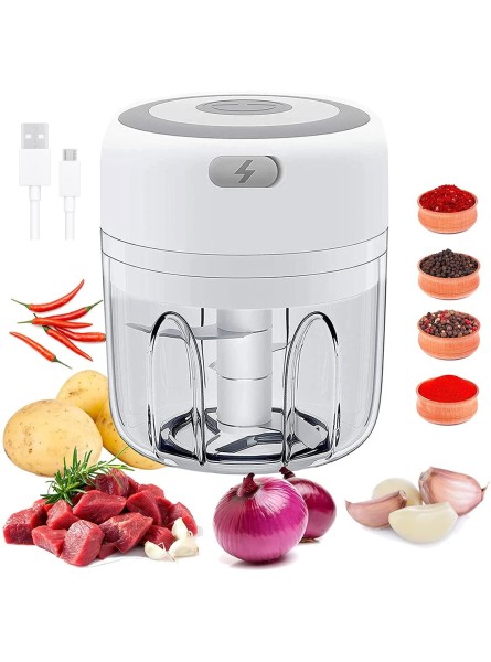 Mini Food Chopper AISOO Electric Garlic Chopper with USB Charging and 3 Sharp Blades Portable Wireless Kitchen Food Processor Blender for Garlic Chili Onion Ginger Vegetable Fruit Meat 250ml - BDDTTTS5