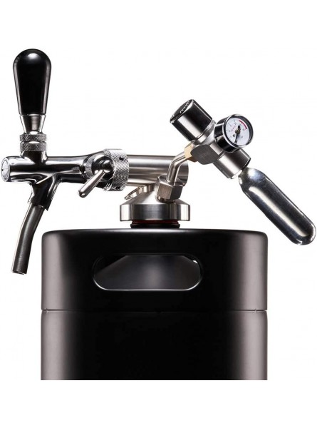Dark Farm 10L Mini Keg Single Walled Growler with CO2 Dispenser Draught Beer on Tap… - SHLMSTXN