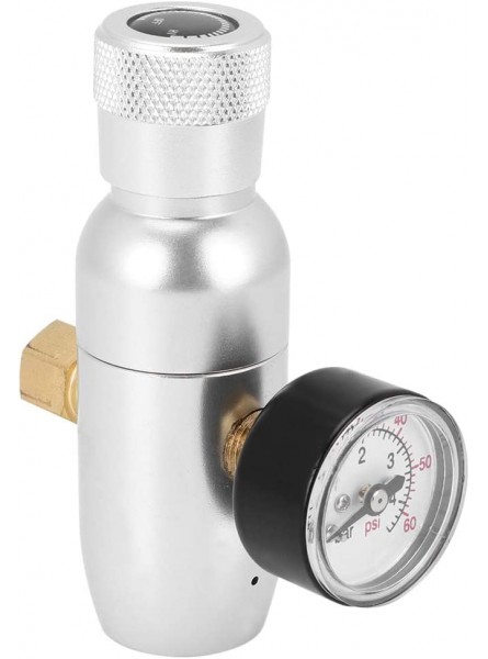 EVTSCAN Beer Keg Charger CO2 Dispenser Mini Beer Dispenser Keg Kit with CO2 Regulator Hose Nozzle Thread Adapter Beer Accessories - EUDUMGVV