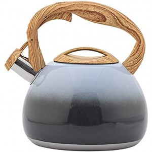 Gradient color whistling kettle 2.5L European whistling kettle kitchen restaurant gas universal cross-border kitchenware - QXWA1A8Y