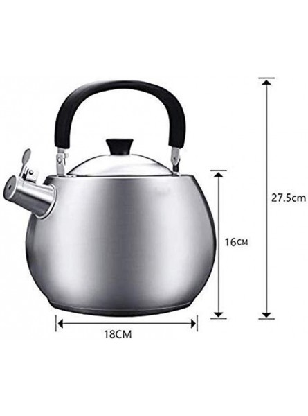 OH Tea Kettle Induction Modern Stainless Steel Surgical Whistling Teapot -Tea Pot for Stove Top Tea Coffee Maker Boiler for Hot Water Kitchen Accessories - NELI16VB