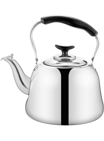 DOITOOL Stainless Steel Whistle Tea Kettle Stove Top Whistling Teapot Hot Water Kettle with Ergonomic Handle for Home Kitchen - ZUDRNJER