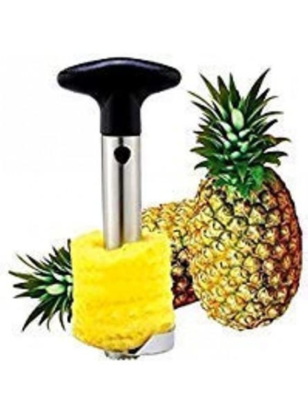 Pineapple Corer Slicer Peeler Cutter Parer Stainless Kitchen Easy - UACF08KN