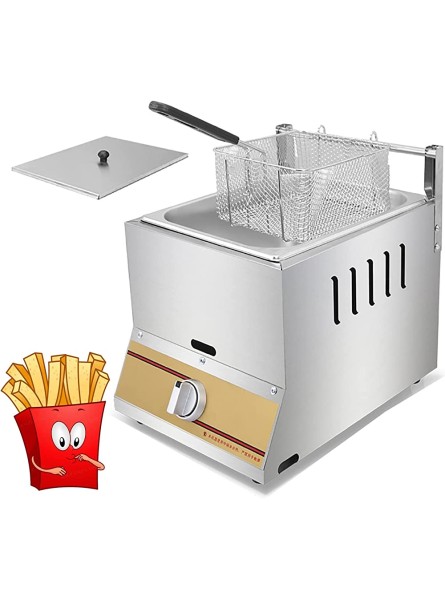 ZYFC Commercial Gas Fryer Stainless Fat Fryer with Basket and Lid Burning Burner Heating Dual Fire Control Knob for Commercial Restaurant Fast Food Restaurant Size : 10L+1xFried Baskets - NZMPO90N